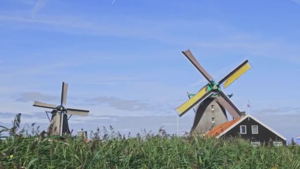 Moinhos de vento holandeses em Países Baixos close-up — Vídeo de Stock