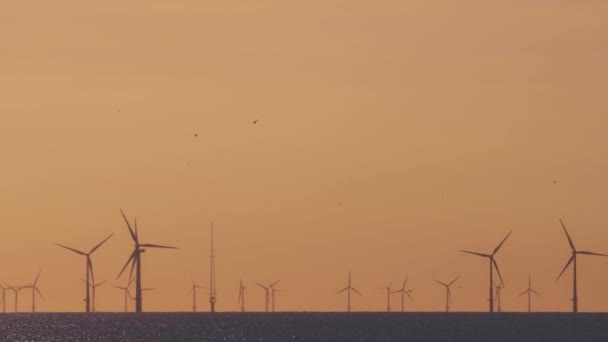 Windpark auf dem Meer bei Sonnenuntergang — Stockvideo