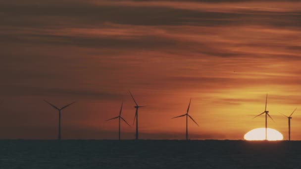 Větrná farma na moři při západu slunce — Stock video