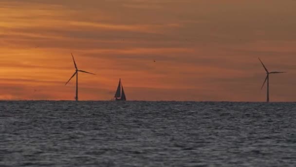 Vindkraftpark på havet vid solnedgången — Stockvideo