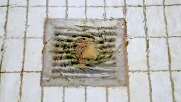 Desagüe de acero en suelo de baldosas con remolino de agua — Vídeos de Stock