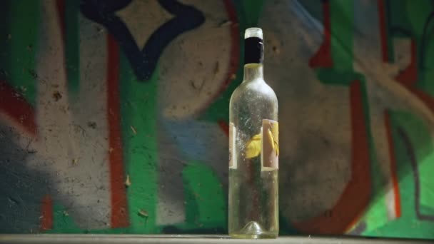 Bottles getting crushed by large hammer slow motion footage — Stock Video