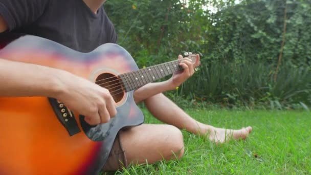 Man zittend in het gras gitaar spelen — Stockvideo