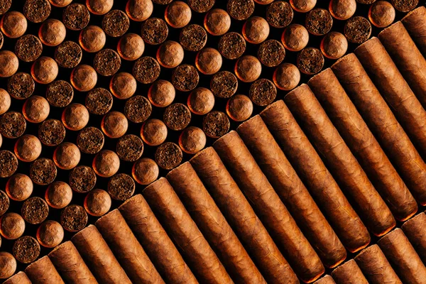 Vertical Look Fresh Hand Cooked New Cigars Concept Businessman Rich — Stock Photo, Image