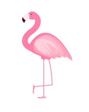 Sevimli pembe Flamingo simge vektör çizim