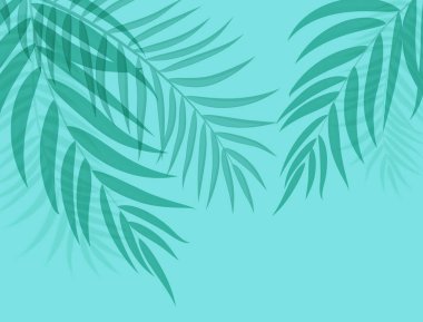 Güzel Palmiye Ağacı Yaprak Silueti Arkaplan Vektörü İllüstrasyonu