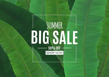 Soyut yaz Satılık palmiye yaprakları ile arka plan. Vektör çizim