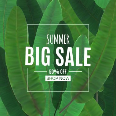 Soyut yaz Satılık palmiye yaprakları ile arka plan. Vektör çizim