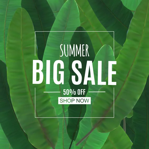 Soyut yaz Satılık palmiye yaprakları ile arka plan. Vektör çizim