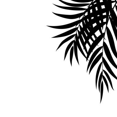Güzel Palmiye Ağacı Yaprak Silueti Arkaplan Vektörü İllüstrasyonu