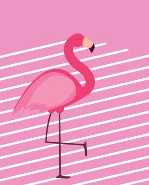Sevimli pembe Flamingo yaz arka plan vektör çizim