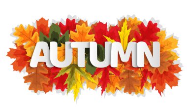 Sonbahar Doğal Yaprakları Arka Plan. Vektör İllüstrasyonu