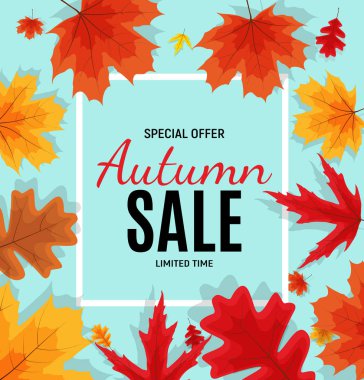 Parlak sonbahar yaprakları satışı büyük başlığı. İş indirim kartı vektör 