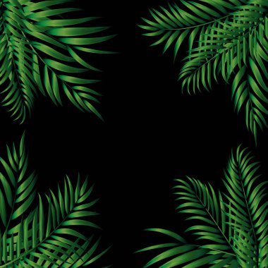 Tropik Doğal Avuç Arkaplanı. Vektör Illustration EPS10