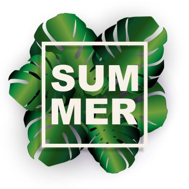 Tropik Doğal Palmiye Yaz Arkaplanı. Vektör Illustration EPS10