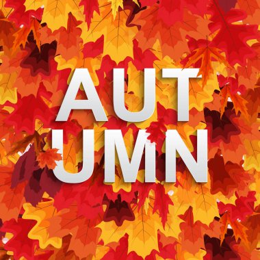 Soyut Sonbahar Özgeçmişi Wiyj Düşen Yaprakları. Vektör İllüstrasyonu EPS10