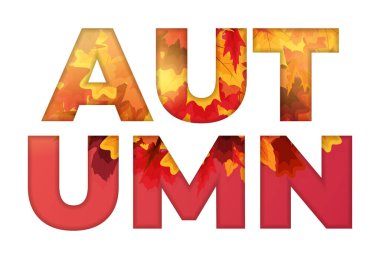 Sonbahar arkaplanı ve düşen yapraklar. Vektör Illustration EPS10