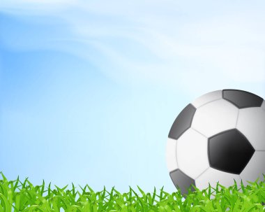 futbol topu çimlerin üzerinde