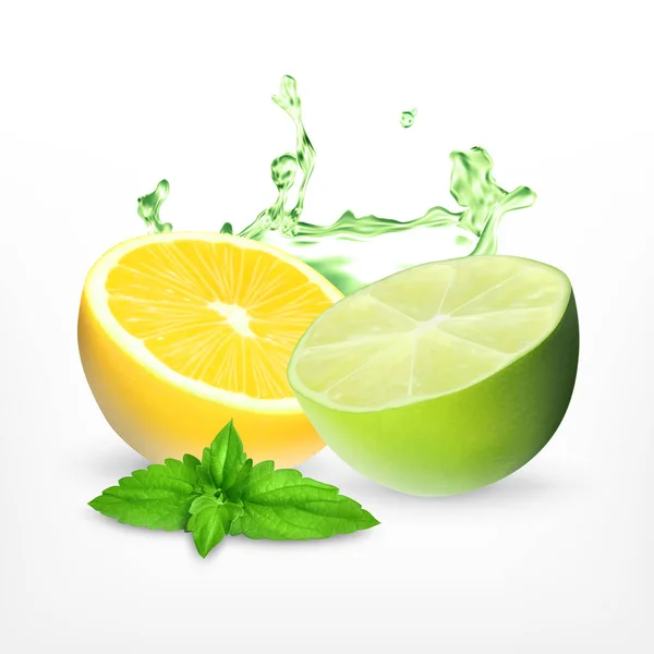 Fresh lime and lemon — Stock Vector