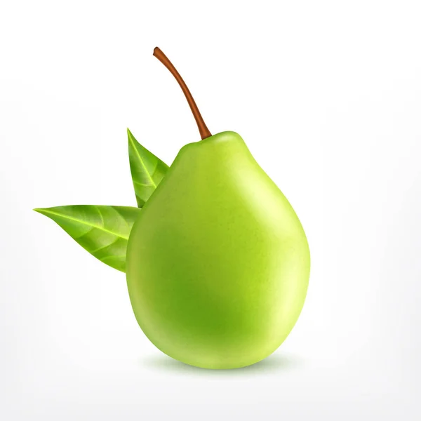 緑の葉と梨 — ストックベクタ