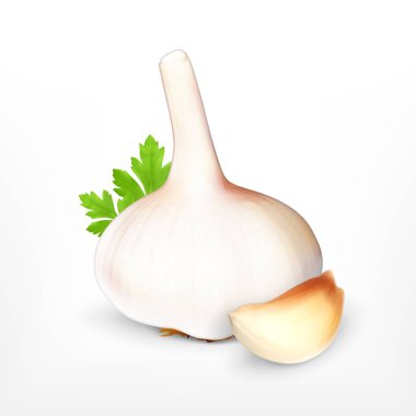 Sarımsak. Vektör simgesi