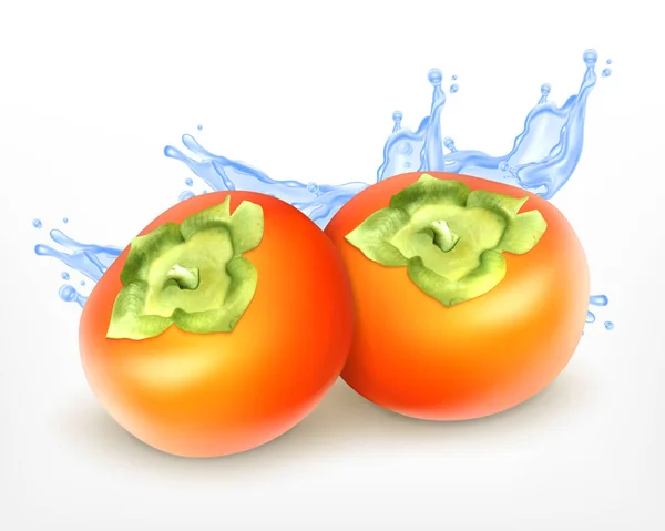 新鮮なジューシーな柿 — ストックベクタ