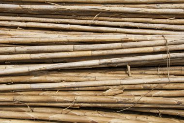 Bambu ahşap yapı malzemesi - Trujillo Peru