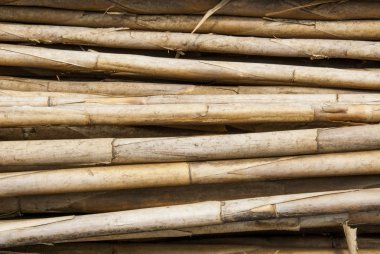 Bambu ahşap yapı malzemesi - Trujillo Peru