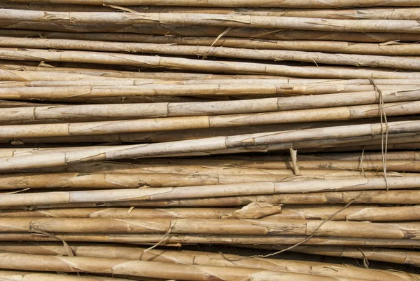 Bamboo Timmer Byggmaterial Trujillo Peru — Stockfoto