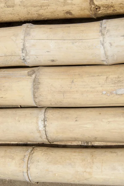 Bamboo Timmer Byggmaterial Trujillo Peru — Stockfoto