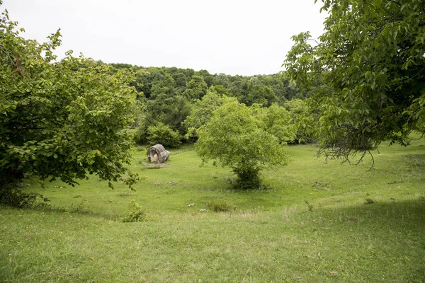 Campamento Esculturas Magura Buzau Rumania Una Exposición Única Desarrollada Aire — Foto de Stock