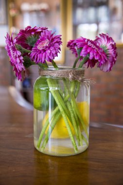 Bir vazoda Transvaal closeup papatya (Gerbera) çiçek buketi