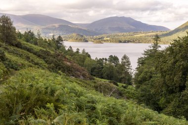 Dağ doğal İngilizce Lake District, Cumbria, İngiltere