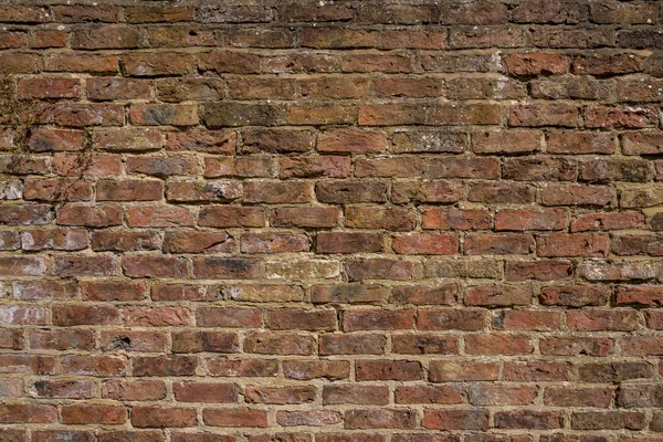 Orange Red Old Brick Wall Texture Weathered — Stock Photo, Image