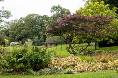 Bressingham bahçeler - Diss Norfolk, İngiltere - Amerika Birleşik Devletleri - fotoğraf 7 Ekim 2017 yılında batısında