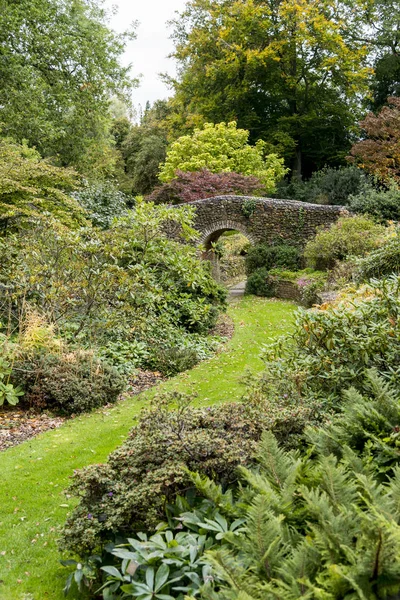 Bressingham Trädgårdar Väster Diss Norfolk England Storbritannien Foto Taget Oktober — Stockfoto