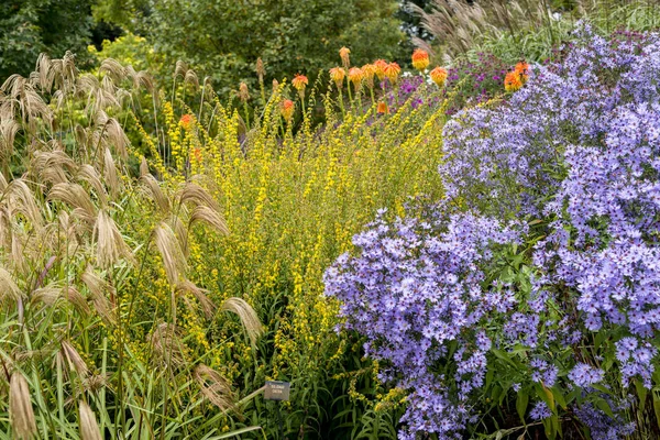 Bressingham Gardens Ouest Diss Norfolk Angleterre Royaume Uni Photo Prise — Photo