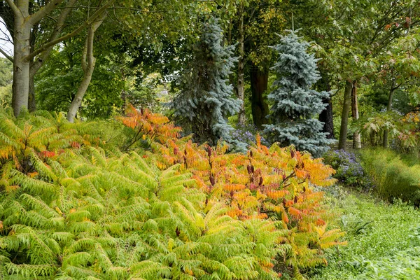 Bressingham Gardens West Diss Norfolk England United Kingdom Photo Taken — Stock Photo, Image