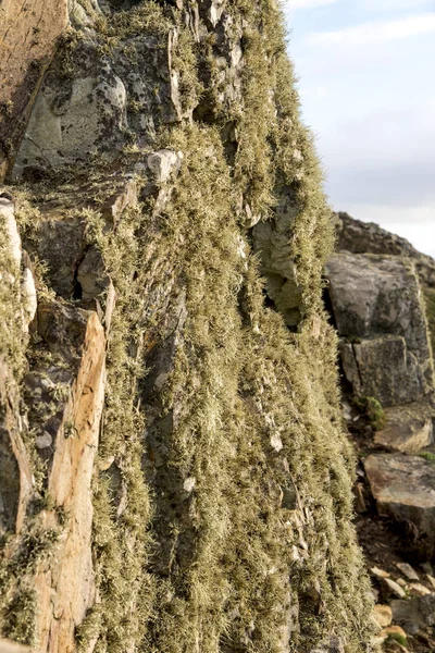 Wyspa Świętego - Walii Uk Anglesey — Zdjęcie stockowe