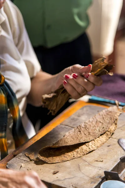 Woman making cigar - Trinidad - Cuba