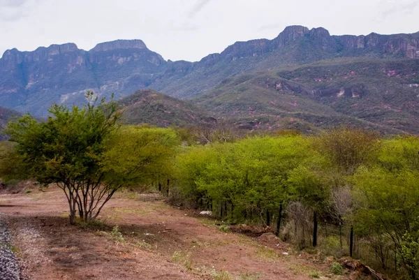 Copper Canyon-Meksyk — Zdjęcie stockowe