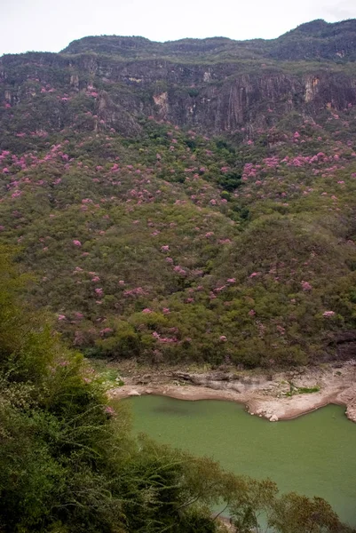Bakır Kanyon - Meksika — Stok fotoğraf
