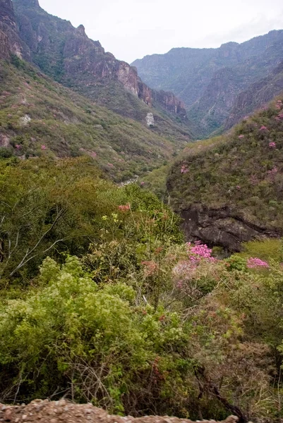 Copper Canyon-Meksyk — Zdjęcie stockowe