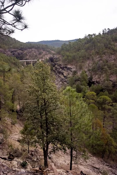 Copper Canyon-Meksyk — Zdjęcie stockowe