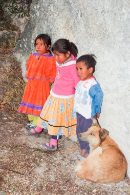 Bakır Kanyon'da Tarahumara Hintli çocuklar