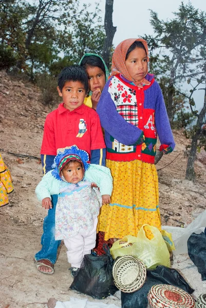 Tarahumara Niños indios en Cañón del Cobre — Foto de Stock