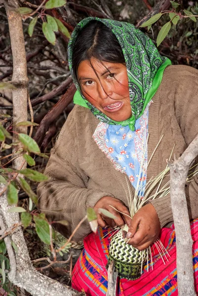 Kobieta Tarahumara podejmowania sosny-igły kosze — Zdjęcie stockowe