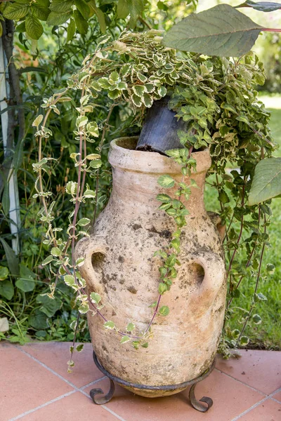 Décoration de jardin italienne - vintage — Photo