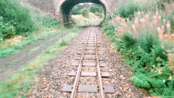 Södra Tynedale Järnväg Ånglok Alston Cumbria England Storbritannien Europa Augusti — Stockvideo