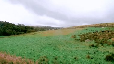 Güney Tynedale Demiryolu. Alston, Cumbria, İngiltere, İngiltere, Avrupa'da buharlı tren - 10 Ağustos 2019